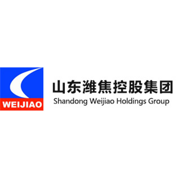 山东潍焦控股集团有限公司